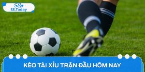 Phân Tích Kèo Tài Xỉu Trận Đấu Hôm Nay Chi Tiết Và Chính Xác